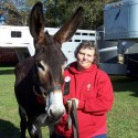 Longears in Connecticut – Donkey News