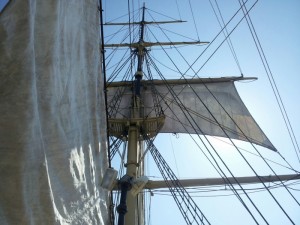 Sails in Sun